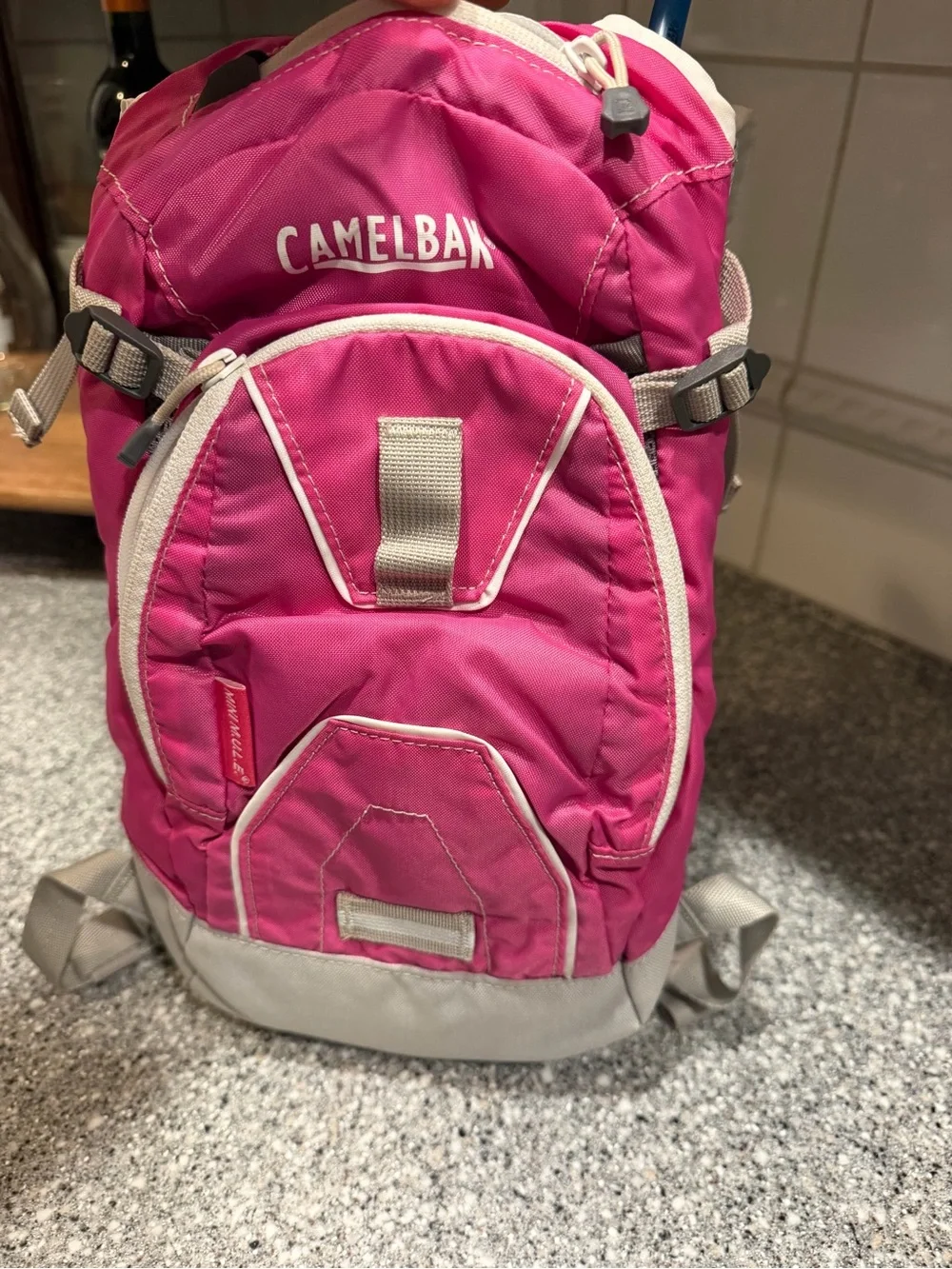 CamelBak Pink and Gray kids Hydration Backpack with Bladder